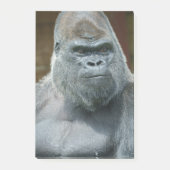 Das schöne Silverback Post-it Klebezettel (Vorderseite)