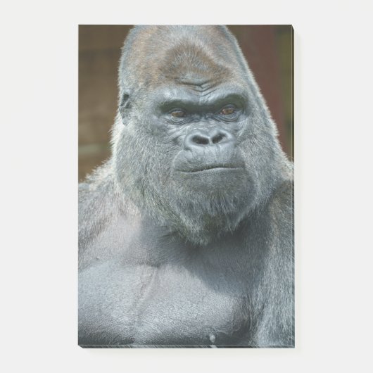 Das schöne Silverback Post-it Klebezettel (Vorderseite)