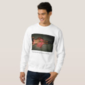 das schöne sweatshirt (Vorne ganz)