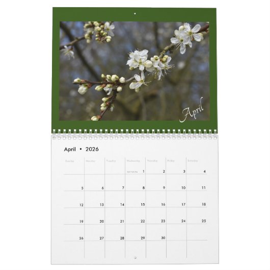 Das Schönheitssalander der Natur erfassen Kalender (Apr 2026)