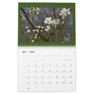 Das Schönheitssalander der Natur erfassen Kalender