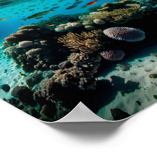 Das schönste Korallenriff Tropical Coral Reef Poster (Ecke)