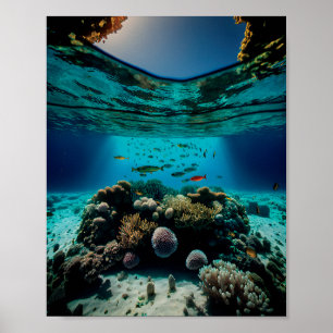 Das schönste Korallenriff Tropical Coral Reef Poster