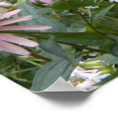 Das schönste, schmetternde und rosa Poster der Nat (Ecke)