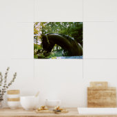 Das schüchterne Pferd Poster (Küche)