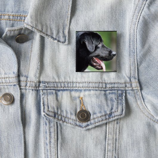 Das schwarze Labrador Button (Beispiel)
