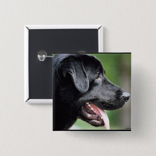 Das schwarze Labrador Button (Vorne & Hinten)