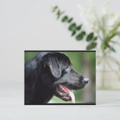 Das schwarze Labrador Postkarte (Stehend Vorderseite)