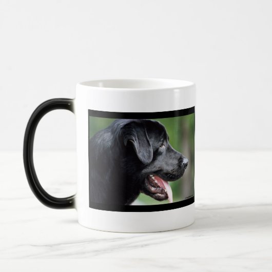Das schwarze Labrador Verwandlungstasse (Links)