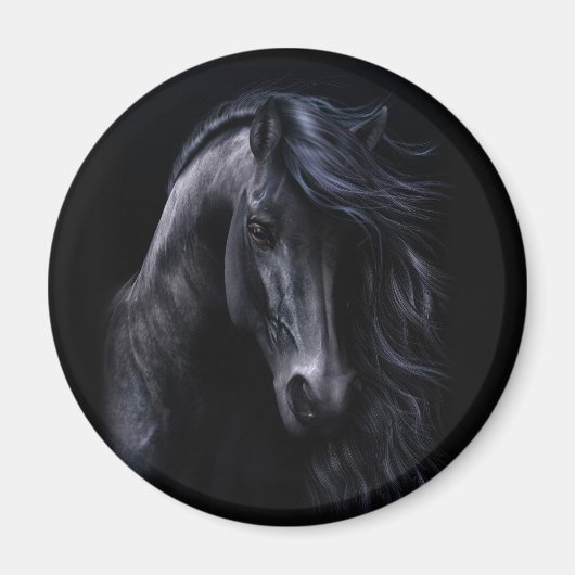 Das Schwarze Magnet (Vorne)