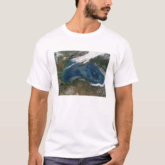 Das Schwarze Meer in Ostrussland T-Shirt (Vorderseite)