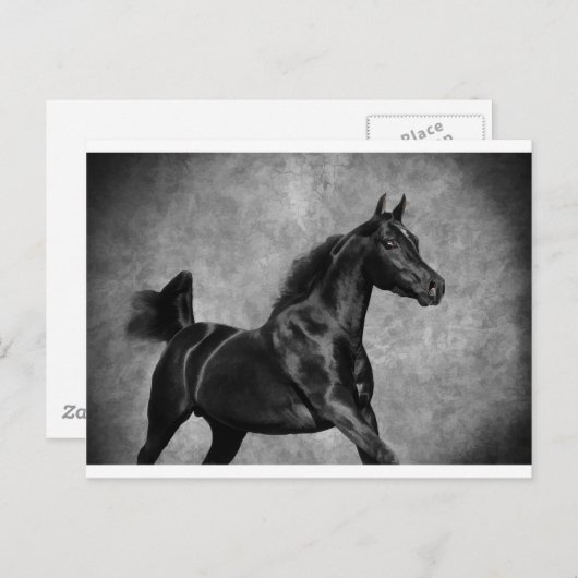 Das Schwarze Postkarte (Vorne/Hinten)