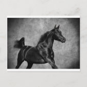 Das Schwarze Postkarte (Vorderseite)