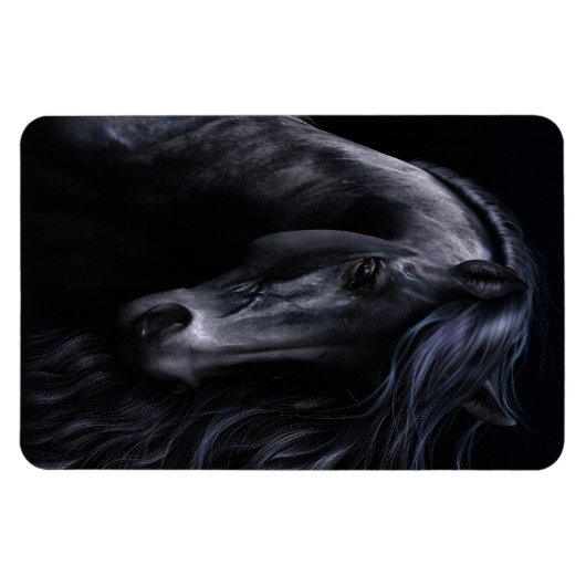 Das Schwarze Premium Flexi Magnet (Horizontal)