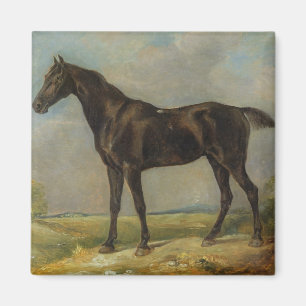 Das schwarze Reiten-Pferd Golding Polizisten, Magnet