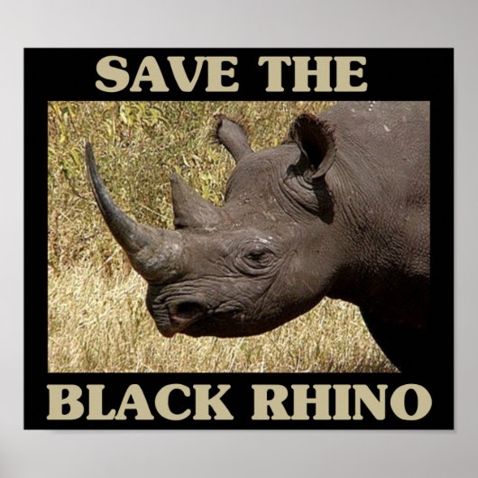 Das Schwarze Rhino gerettet Poster (Vorne)