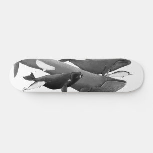 Das Schwimmen von Walen illustriert Kunstwale Skateboard