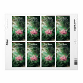 DAS SCHWIMMENDE, grüne, rosa Fuchsia (Vorne)