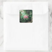 DAS SCHWIMMENDE, grüne Rosa Quadratischer Aufkleber (Tasche)