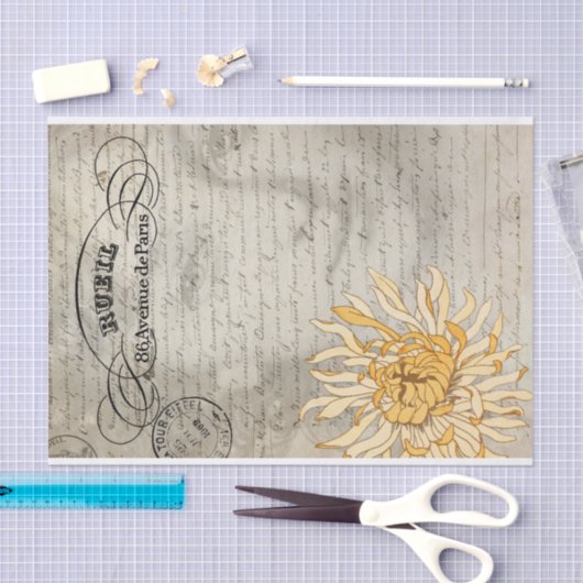 Das Seidenpapier Damen-Decoupage (Handwerk)