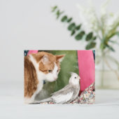 Das seltsame Paar Postkarte (Stehend Vorderseite)