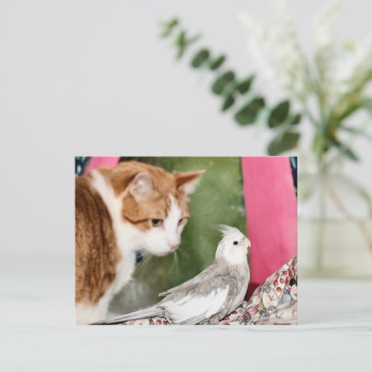 Das seltsame Paar Postkarte (Stehend Vorderseite)