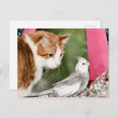 Das seltsame Paar Postkarte (Vorne/Hinten)