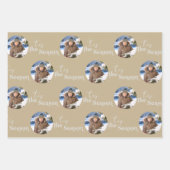 Das Set der Saison, die Runden Fotos, ist 3 Geschenkpapier Set (Vorderseite)