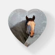 Das Shaman Paperweight