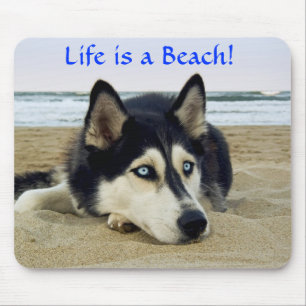 Das sibirische Husky Life ist ein Beach Mousepad