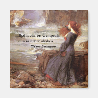 Das sieht auf Tempests Magnet aus