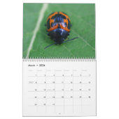 Das sind die Käfer! Insektenkalender Kalender (Mär 2026)