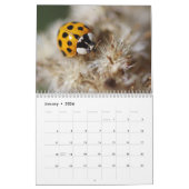 Das sind die Käfer! Insektenkalender Kalender (Jan 2026)