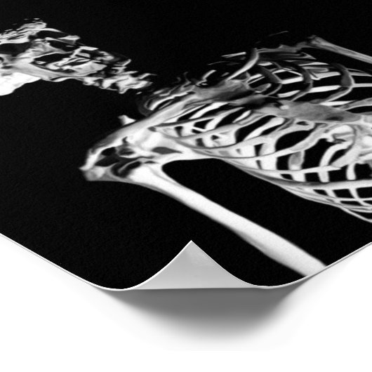 Das Skelett des Elefanten Poster (Ecke)