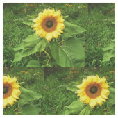 DAS SONNENBLUME-Gewebe Stoff (Nahaufnahme)
