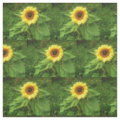 DAS SONNENBLUME-Gewebe Stoff (Muster)
