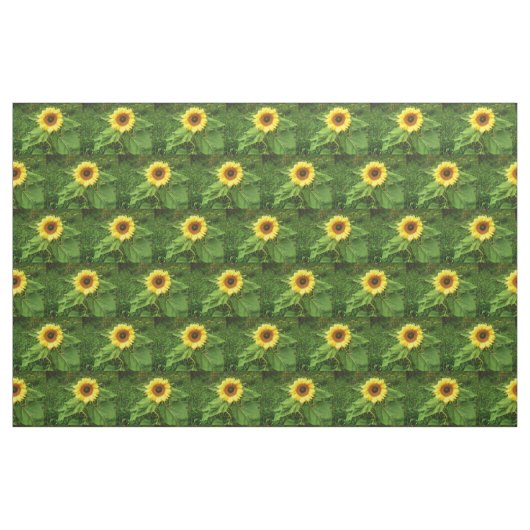 DAS SONNENBLUME-Gewebe Stoff (Fat Quarter (45,7 x 55,9 cm))