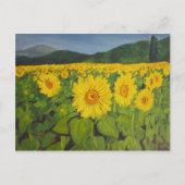 Das Sonnenblumenfeld Postkarte (Vorderseite)