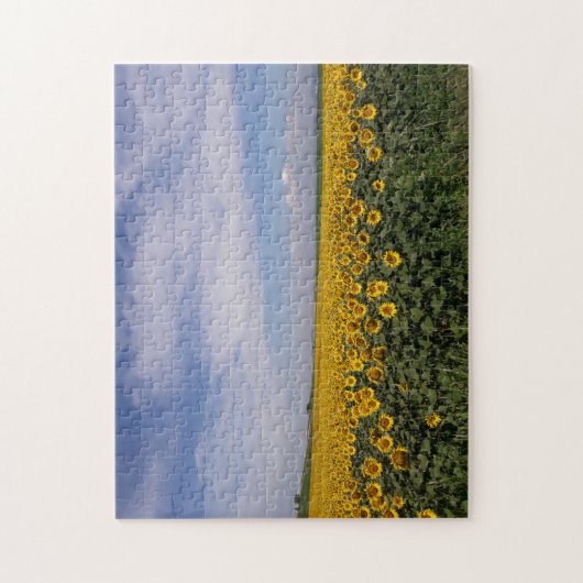 Das Sonnenblumenfeld Puzzle (Vertikal)