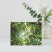 Das Sonnenlicht strahlt durch die Blätter der Bäum Postkarte (Stehend Vorderseite)
