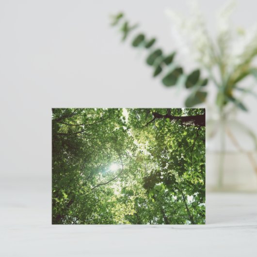 Das Sonnenlicht strahlt durch die Blätter der Bäum Postkarte (Stehend Vorderseite)