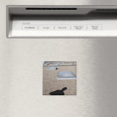 Das Sonnentag-Beleuchtungssystem Magnet (In Situ (Geschirrspüler))