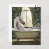 Das sonnige Pferd in der Badewanne Postkarte (Vorne/Hinten)