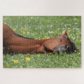 Das sonnige Pferd lächelt im Grasfeld Puzzle (Horizontal)