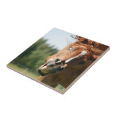 Das sonnige Pferdeschlitten mit den gekrönten Lipp Fliese (Seite)