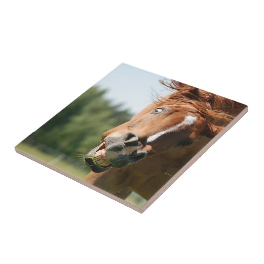 Das sonnige Pferdeschlitten mit den gekrönten Lipp Fliese (Seite)