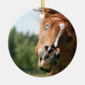 Das sonnige Pferdeschlitten mit den gekrönten Lipp Keramik Ornament (Vorne)