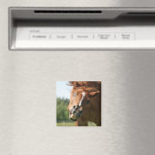 Das sonnige Pferdeschlitten mit den gekrönten Lipp Magnet (In Situ (Geschirrspüler))