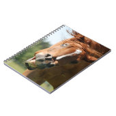 Das sonnige Pferdeschlitten mit den gekrönten Lipp Notizblock (Linke Seite)