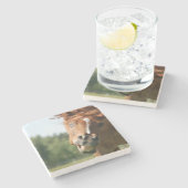 Das sonnige Pferdeschlitten mit den gekrönten Lipp Steinuntersetzer (Seitenansicht)